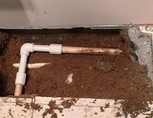 东宁测漏水哪家好