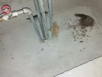 东宁卫生间测漏水价格明细