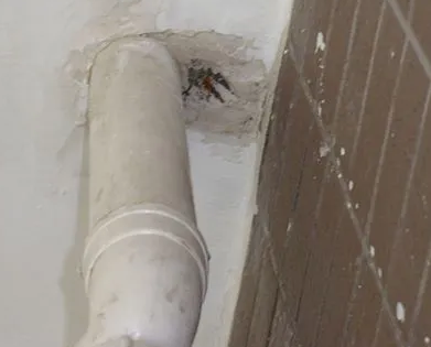 东宁漏水检测哪家好